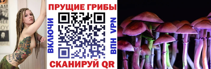 Галлюциногенные грибы Psilocybine cubensis  Долинск 