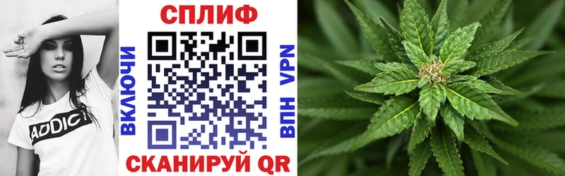 Бошки Шишки план  где купить наркоту  Долинск 